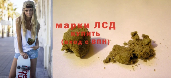 сатива Армянск