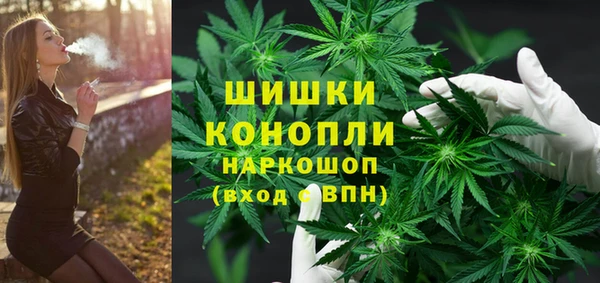 сатива Армянск