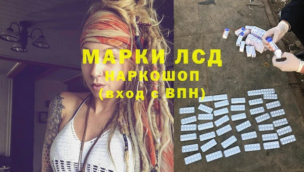 сатива Армянск