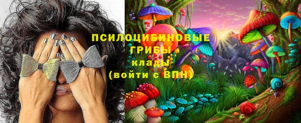 сатива Армянск